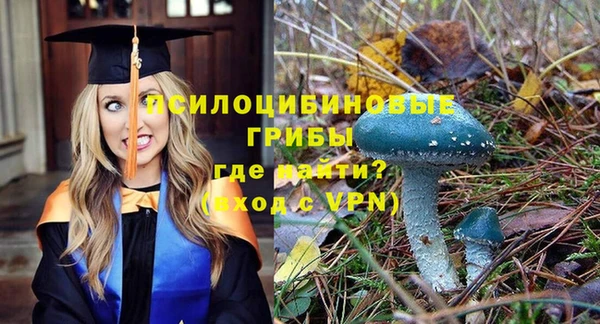 трава Богородицк
