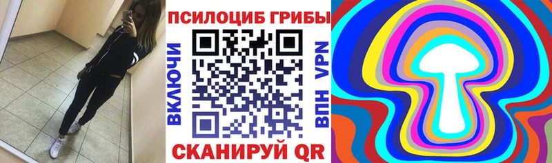 купить наркотик  Славгород  Псилоцибиновые грибы мицелий 